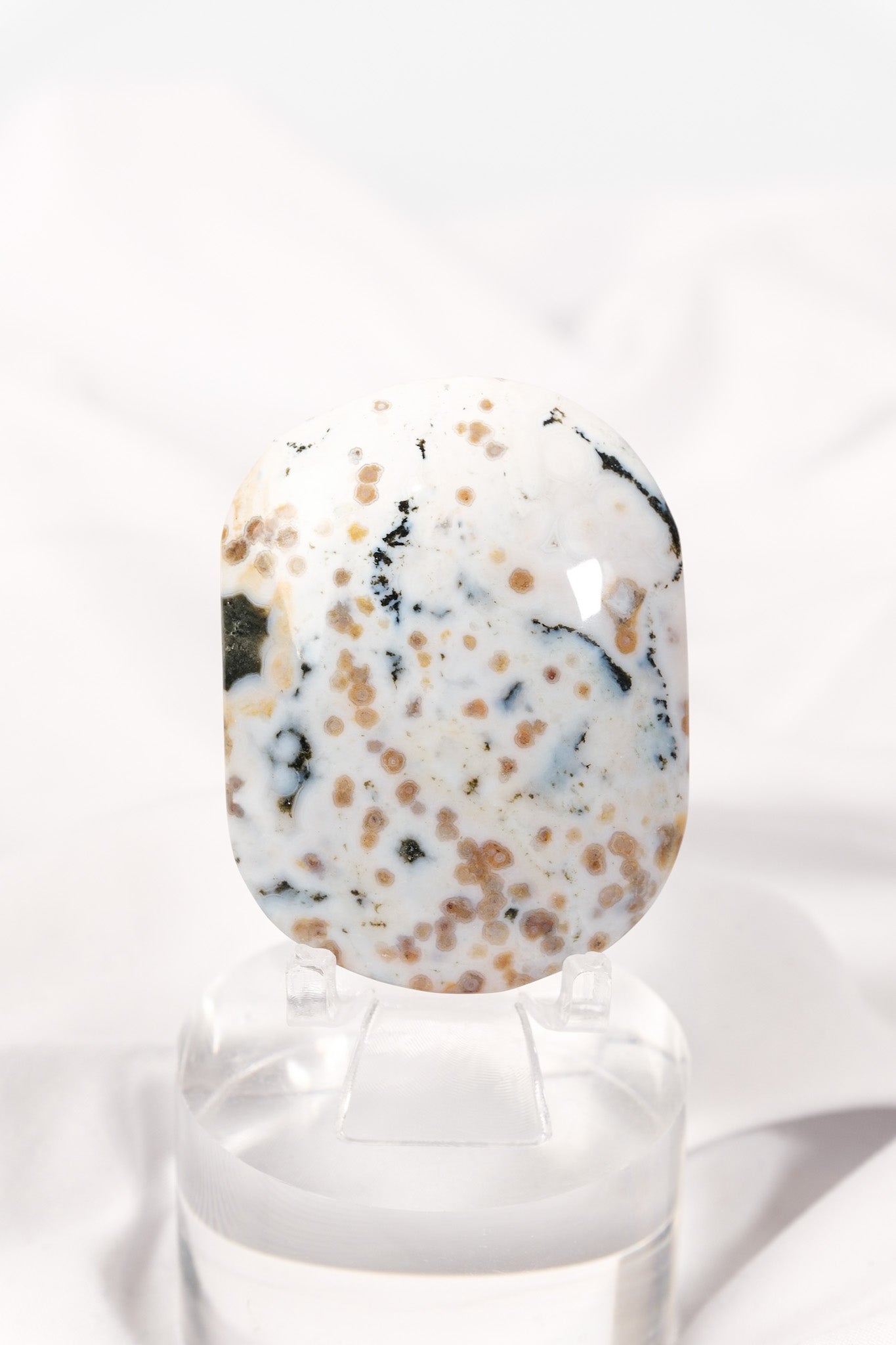 Orbicular Sea Jasper Palmstone