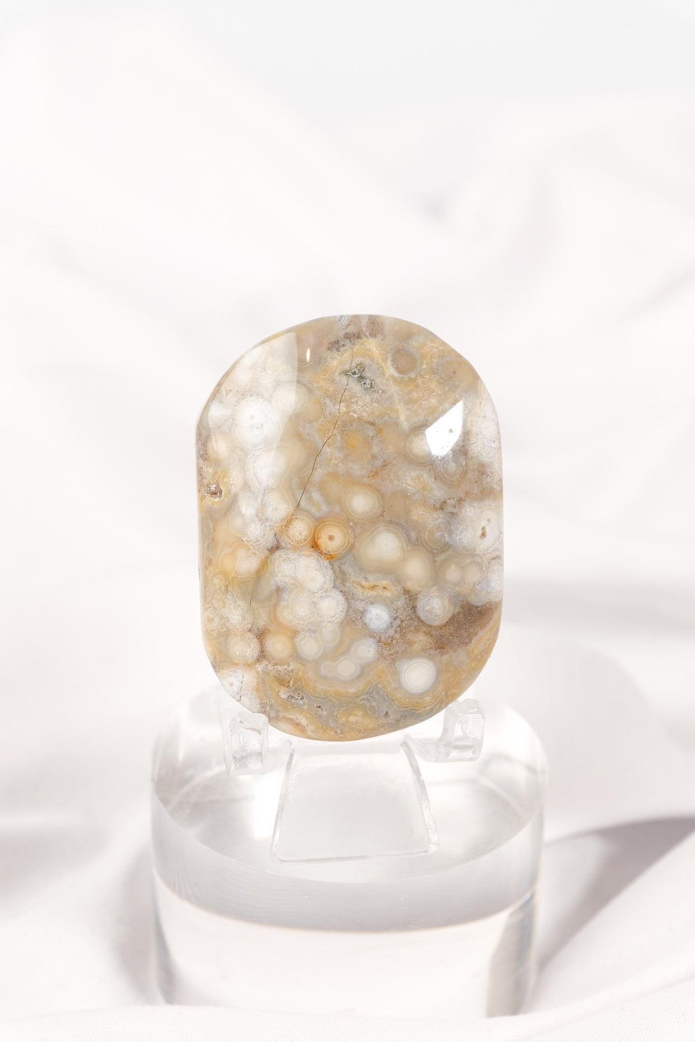 Orbicular Sea Jasper Palmstone