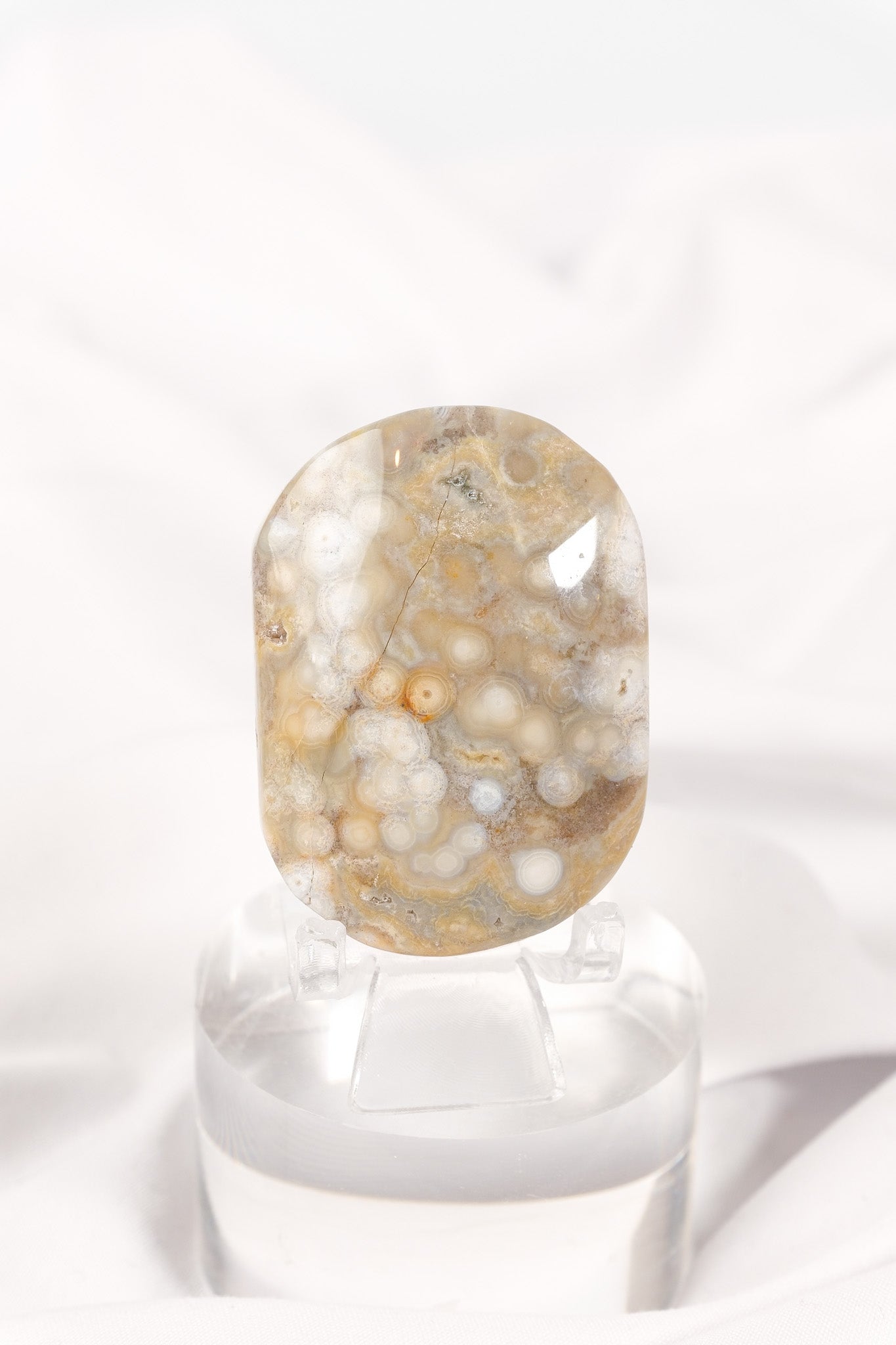 Orbicular Sea Jasper Palmstone