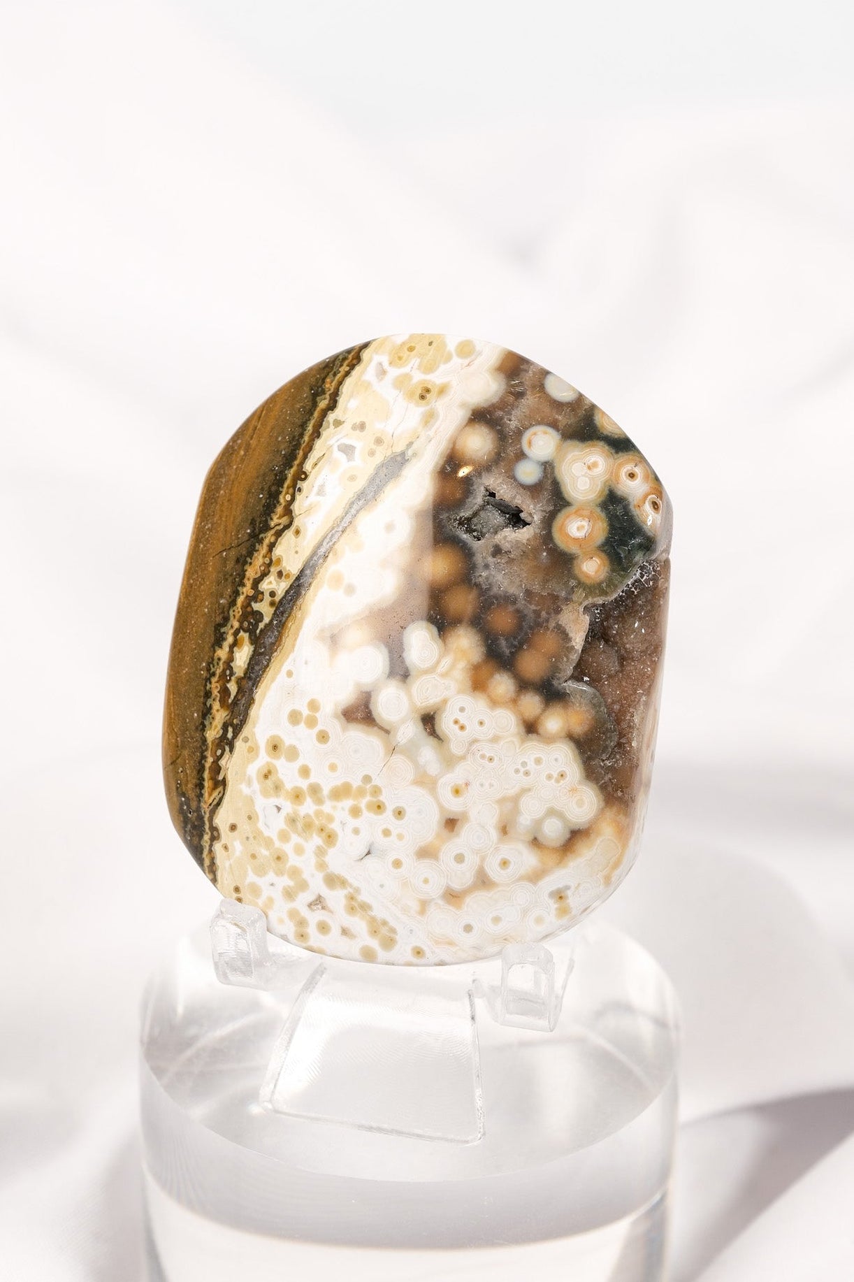 Orbicular Sea Jasper Palmstone