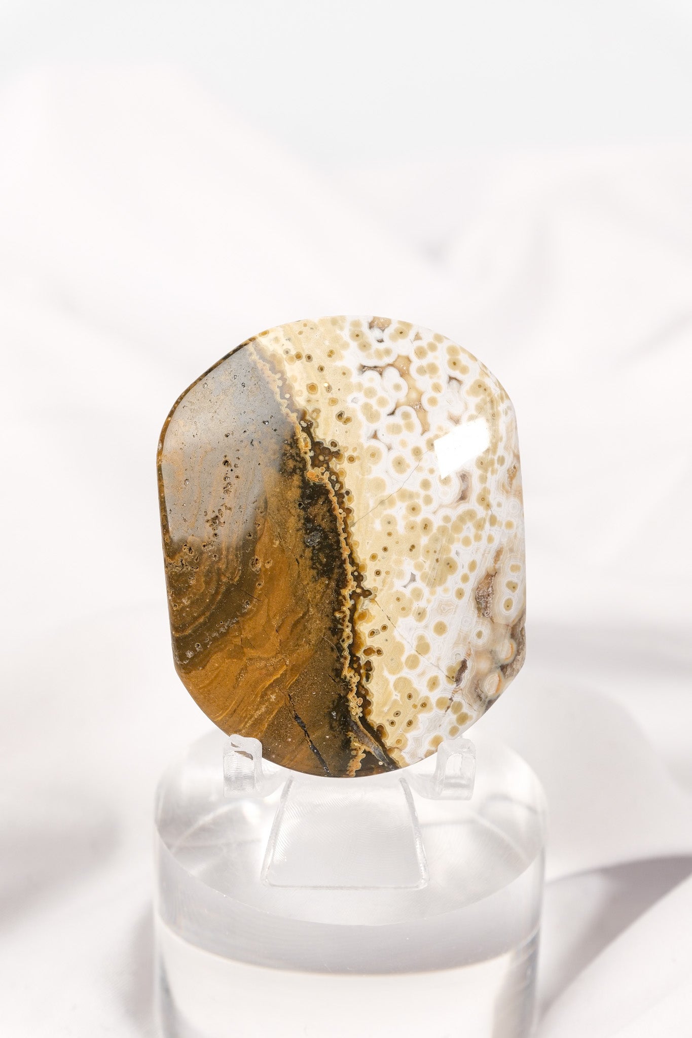 Orbicular Sea Jasper Palmstone