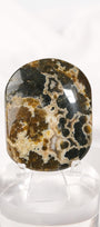 Orbicular Sea Jasper Palmstone