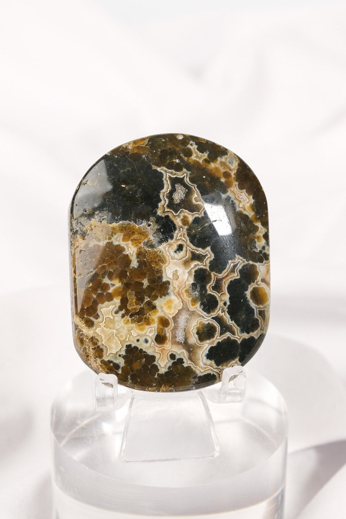 Orbicular Sea Jasper Palmstone