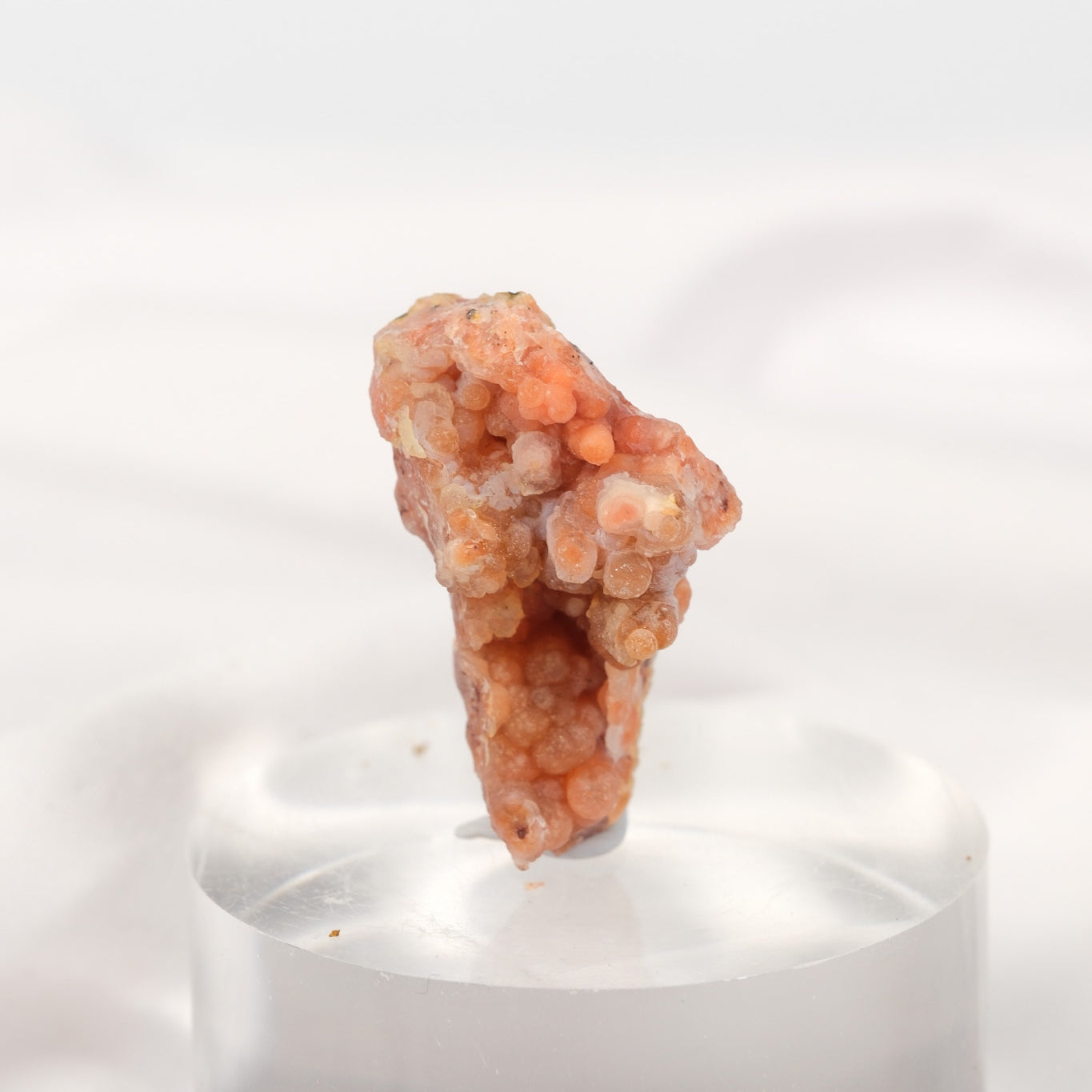 Pink Amethyst (Morocco) Cluster