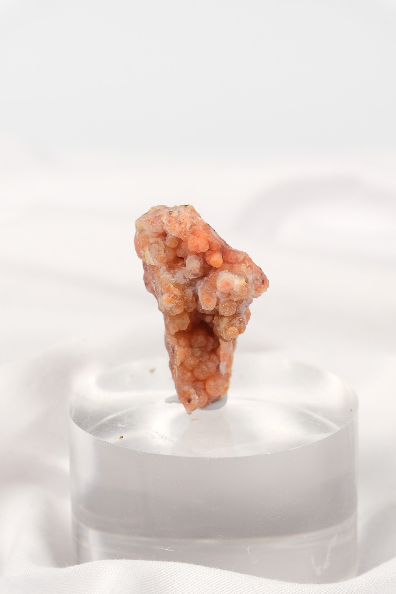 Pink Amethyst (Morocco) Cluster