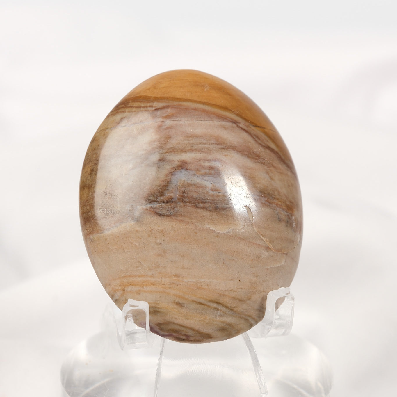 Petrified Wood Palmstone