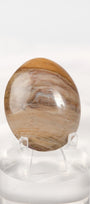 Petrified Wood Palmstone