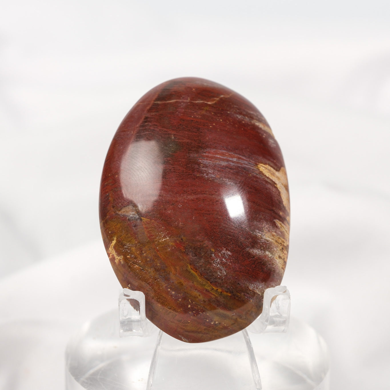 Petrified Wood Palmstone