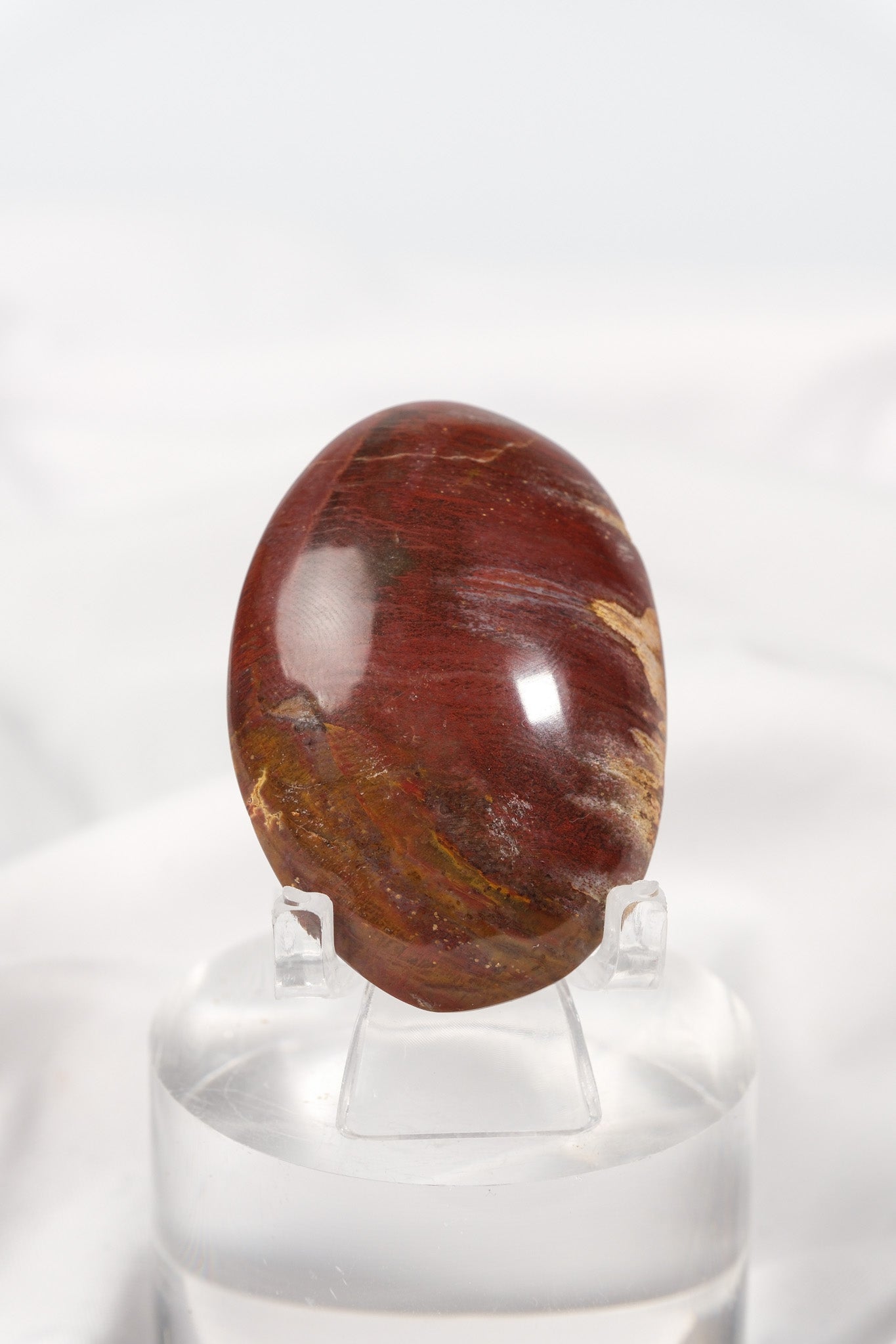 Petrified Wood Palmstone