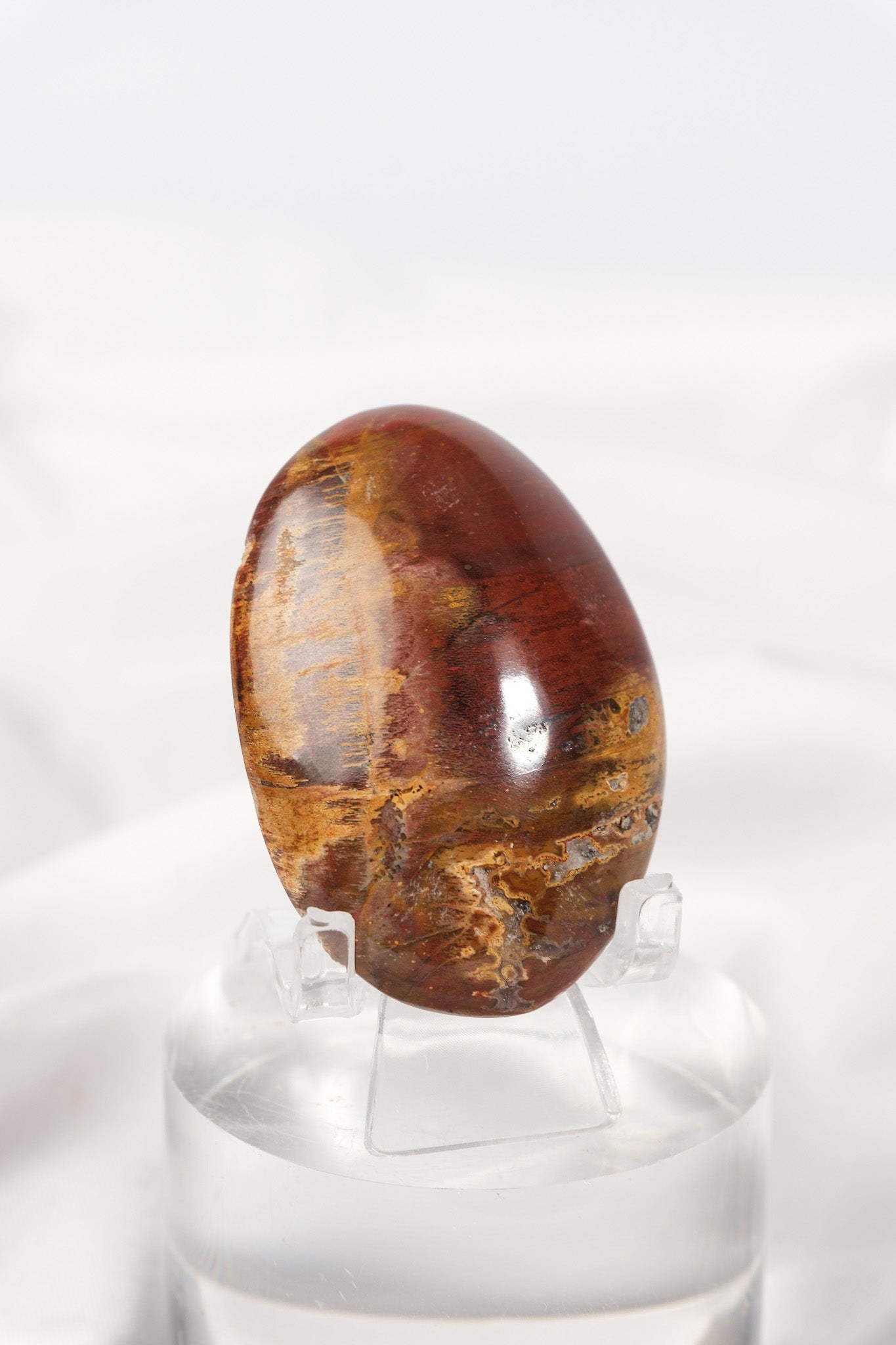 Petrified Wood Palmstone