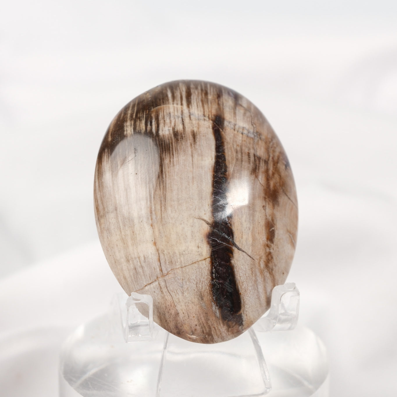 Petrified Wood Palmstone