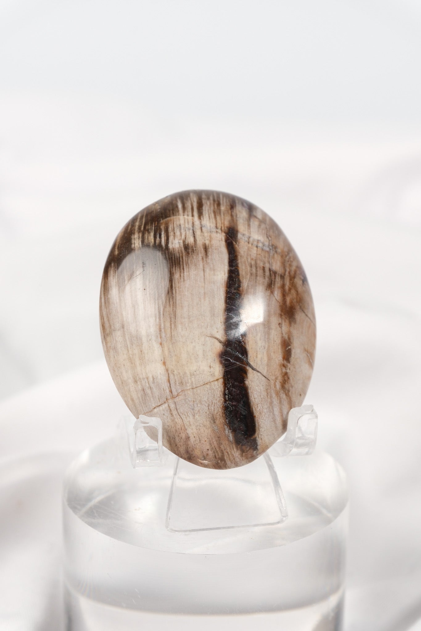 Petrified Wood Palmstone