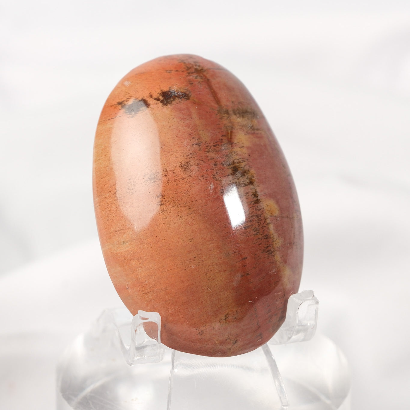 Petrified Wood Palmstone