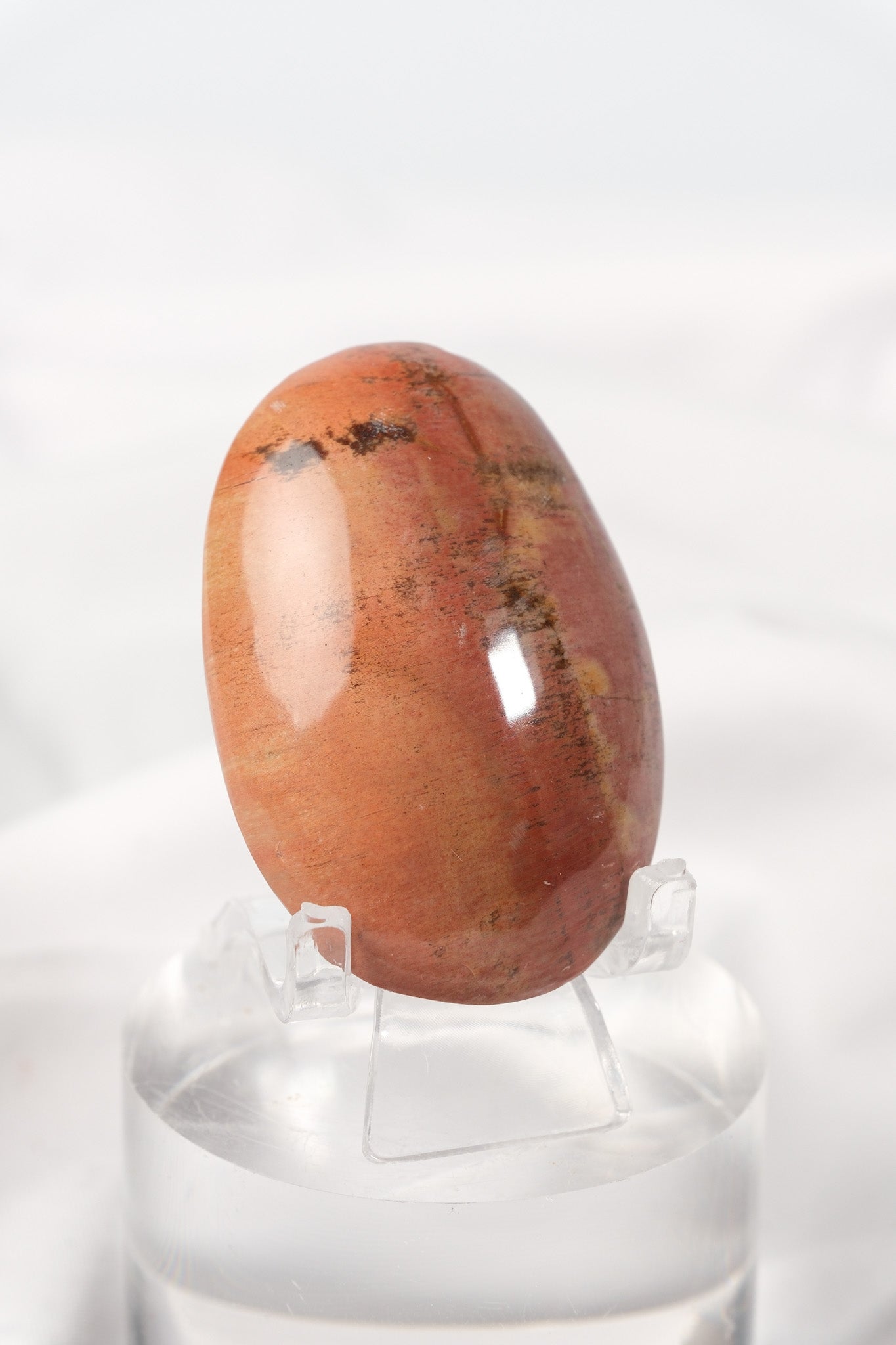 Petrified Wood Palmstone