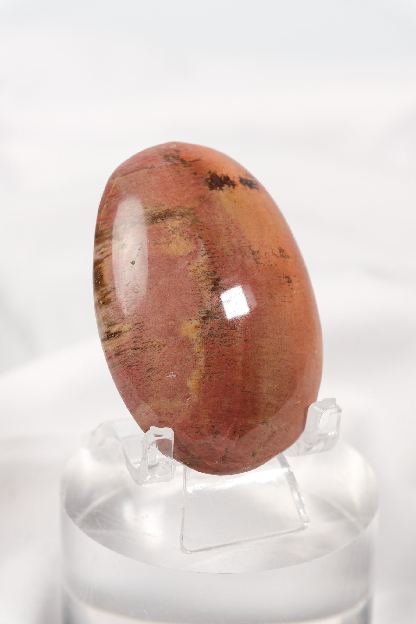 Petrified Wood Palmstone