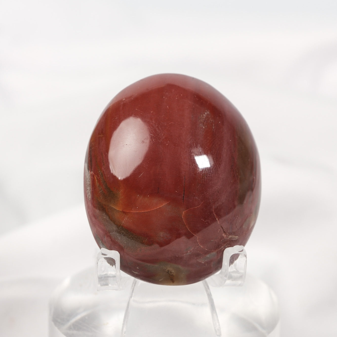 Petrified Wood Palmstone