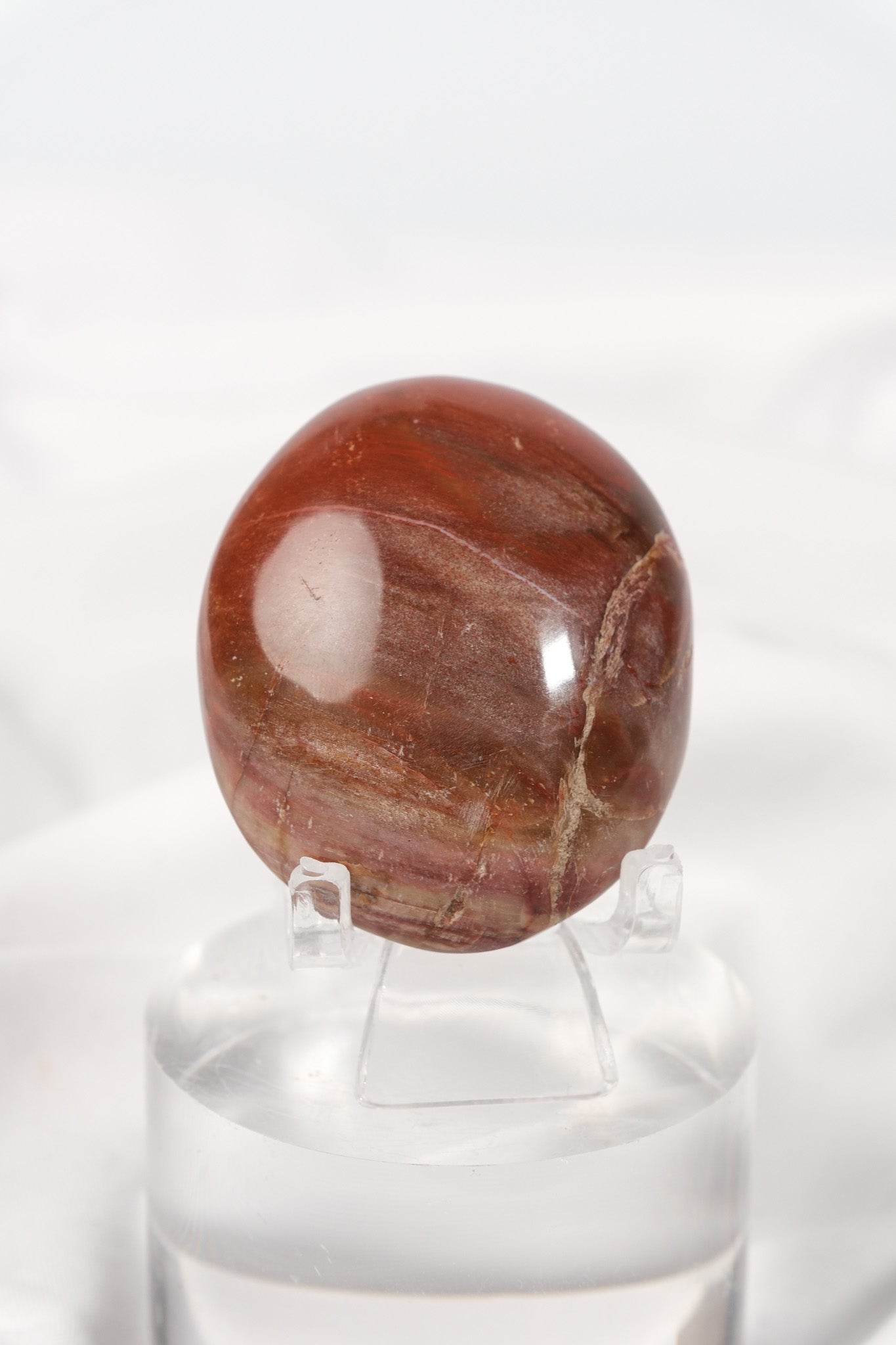 Petrified Wood Palmstone