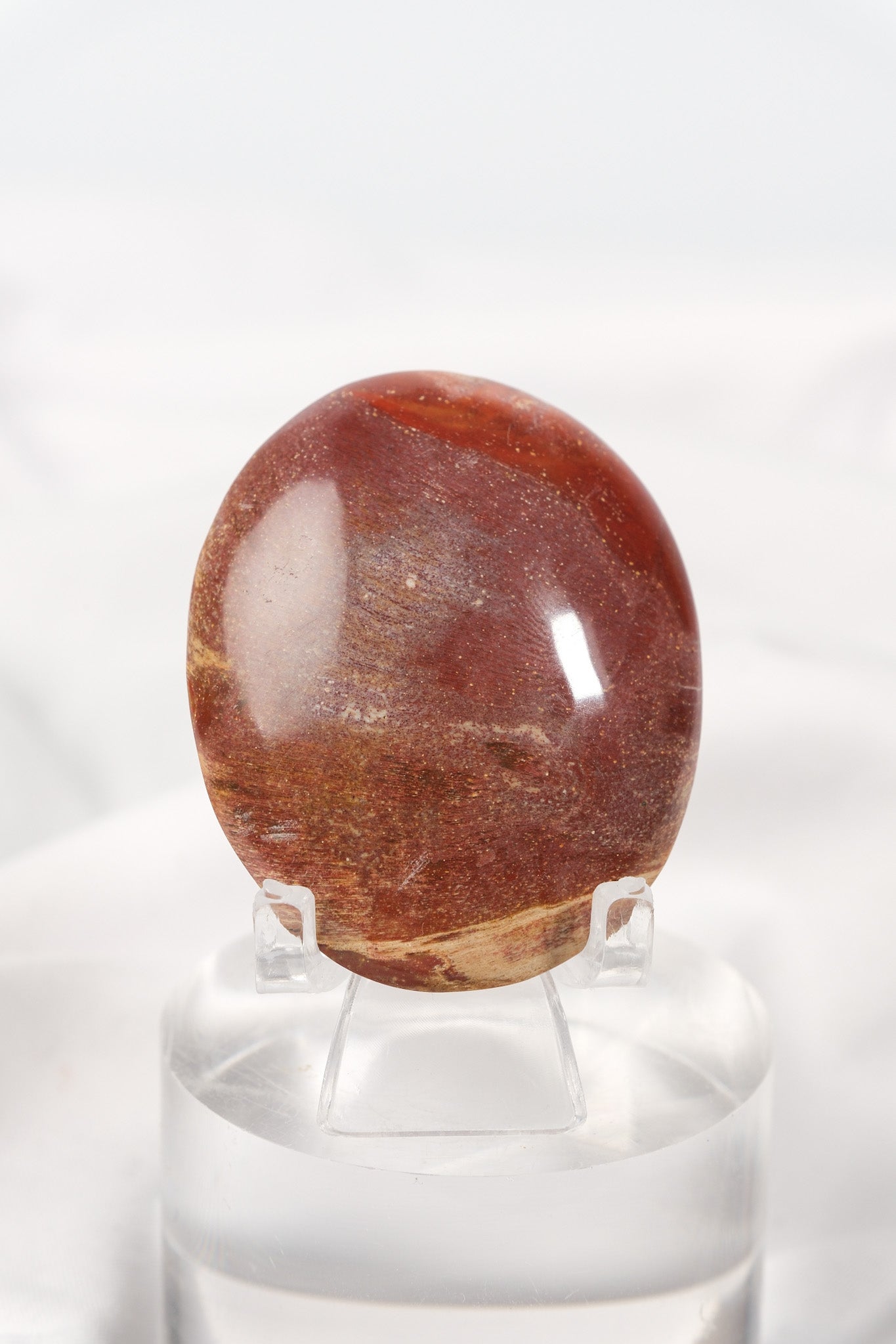 Petrified Wood Palmstone