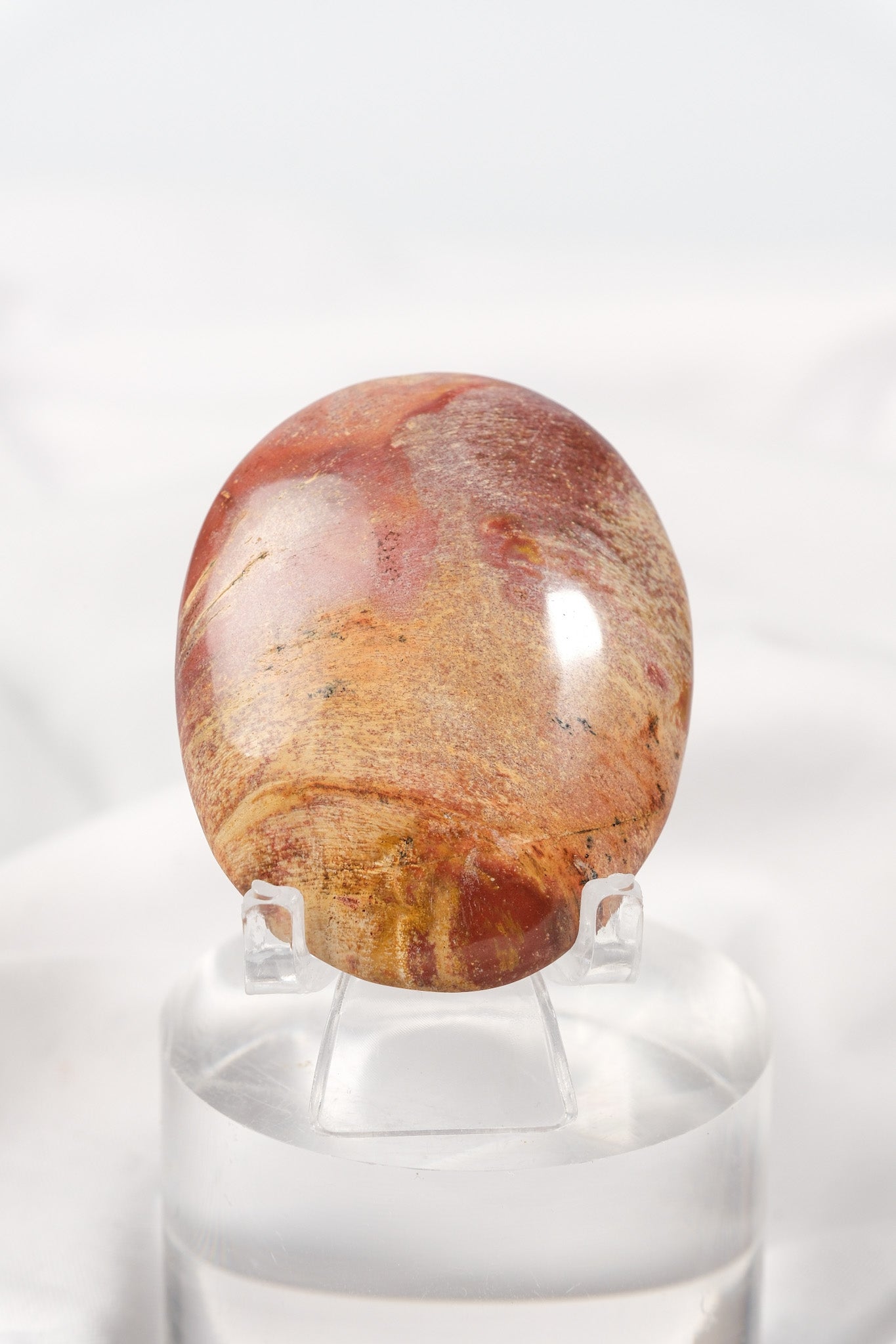 Petrified Wood Palmstone