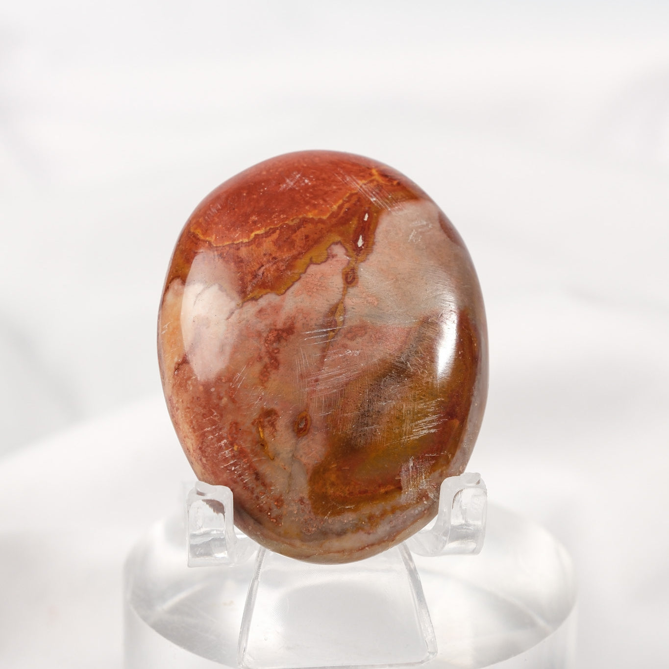 Petrified Wood Palmstone