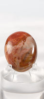 Petrified Wood Palmstone