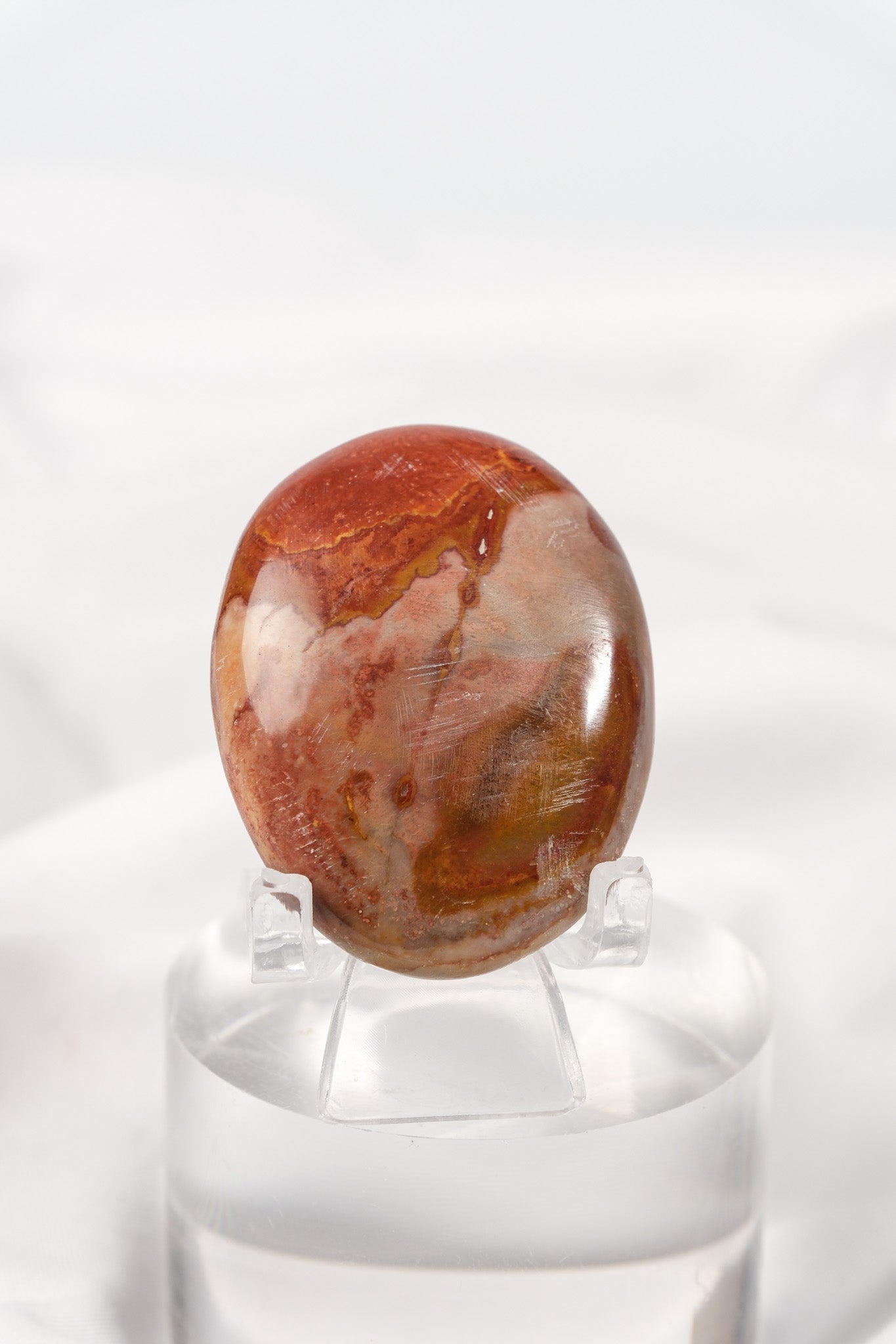 Petrified Wood Palmstone