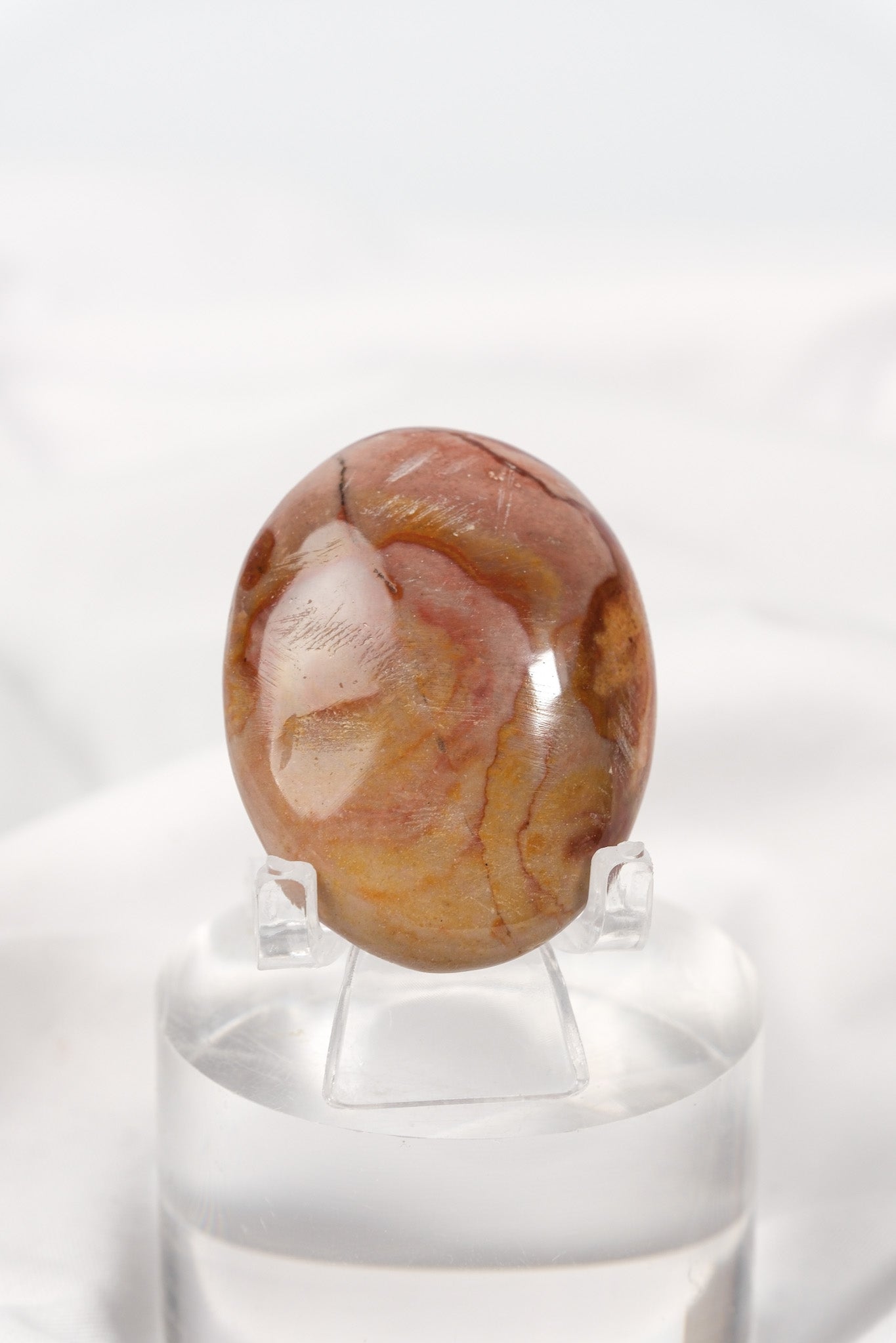 Petrified Wood Palmstone