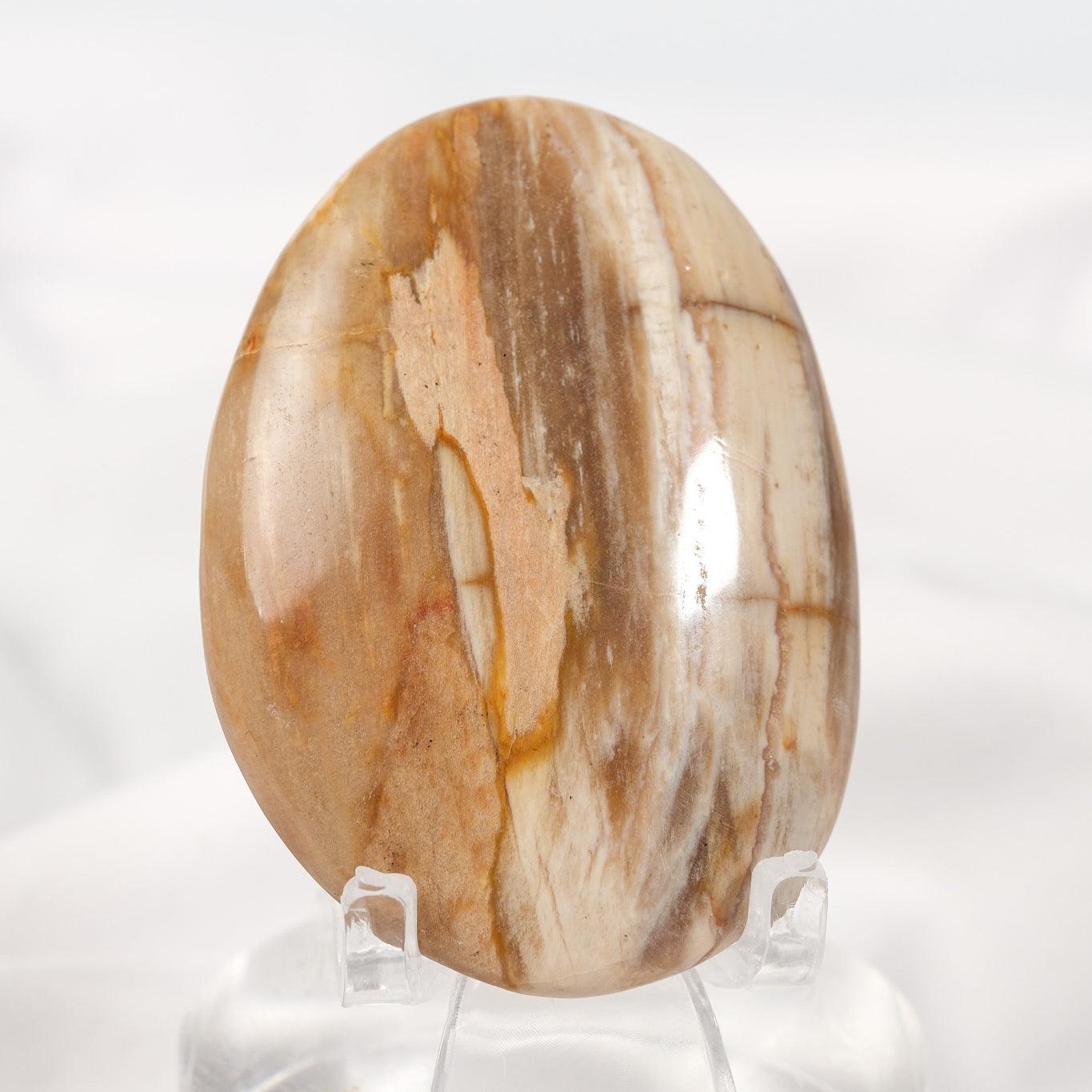 Petrified Wood Palmstone