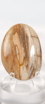 Petrified Wood Palmstone