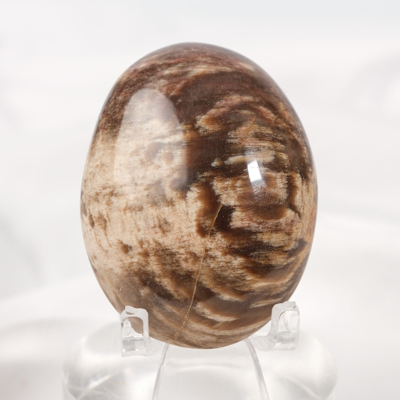Petrified Wood Palmstone