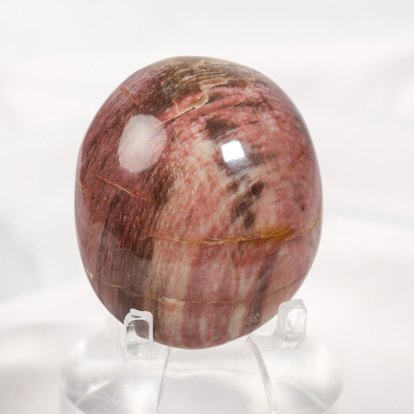 Petrified Wood Palmstone