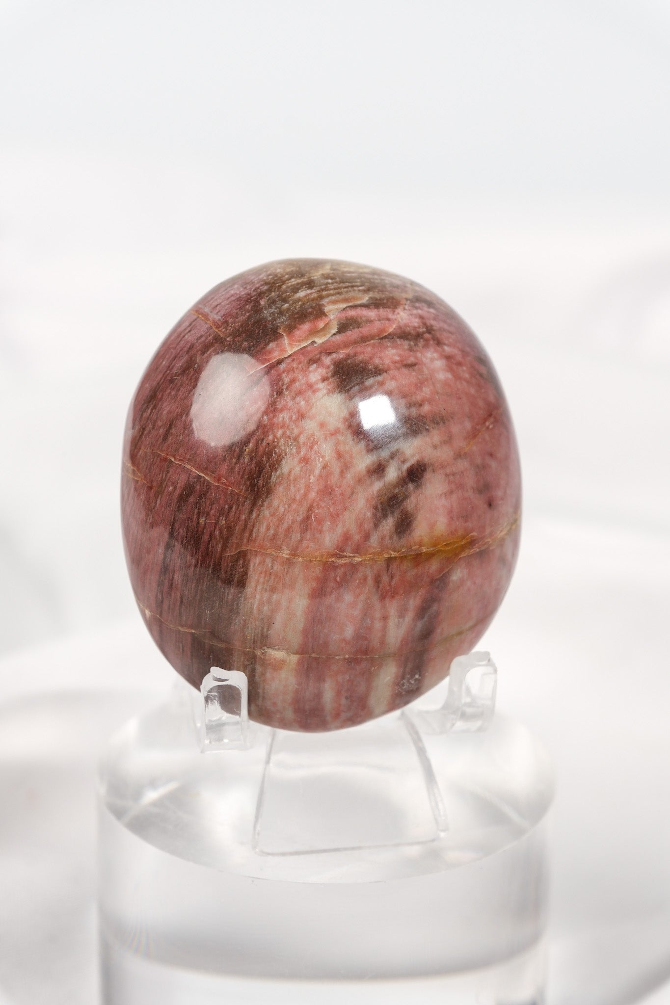 Petrified Wood Palmstone
