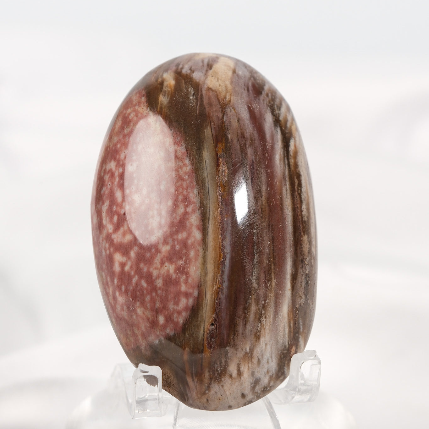 Petrified Wood Palmstone