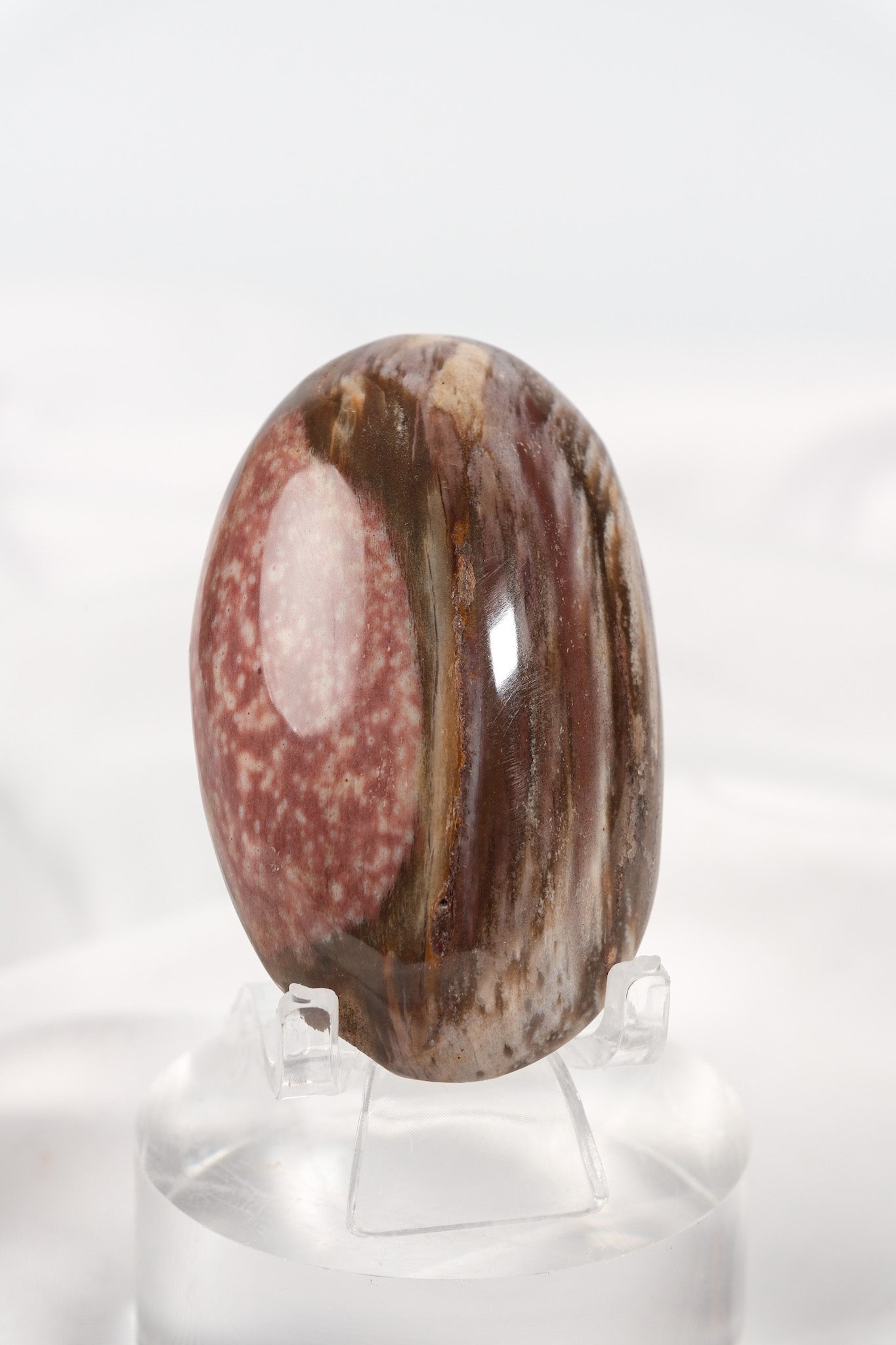 Petrified Wood Palmstone