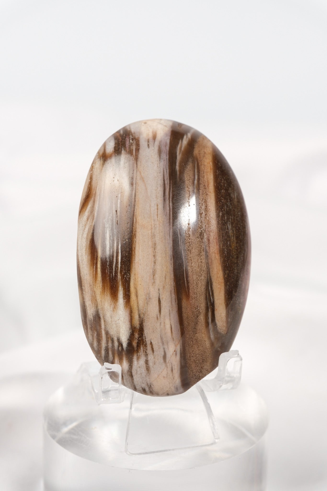 Petrified Wood Palmstone