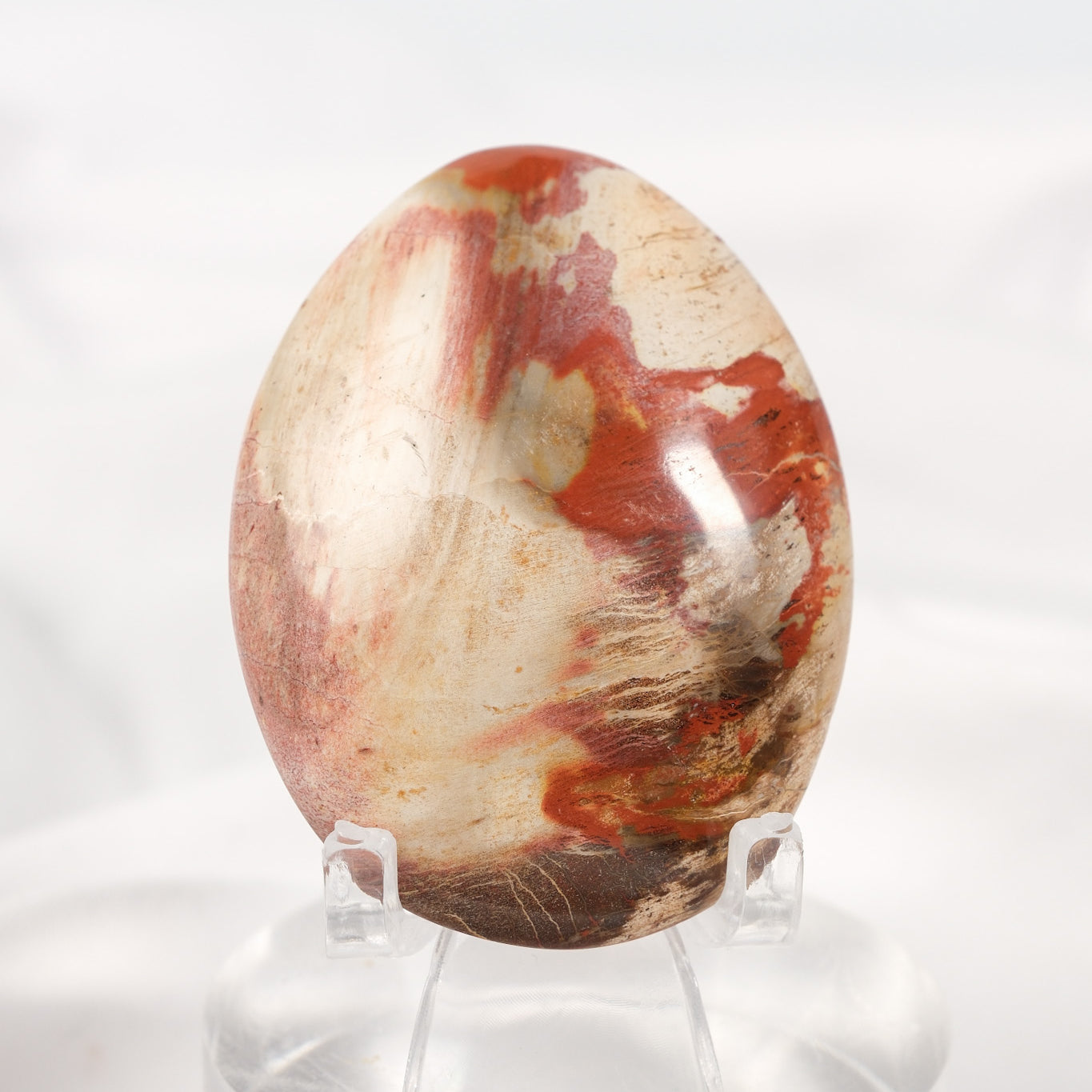 Petrified Wood Palmstone