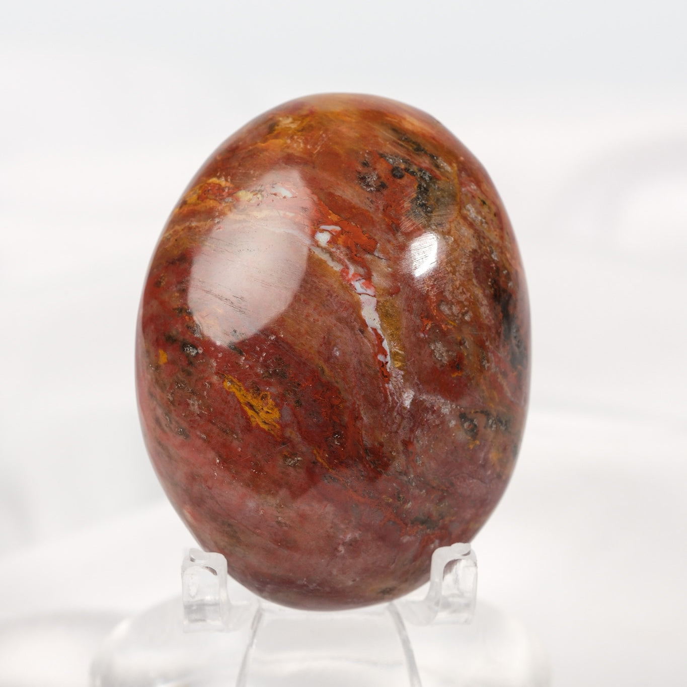 Petrified Wood Palmstone