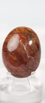 Petrified Wood Palmstone