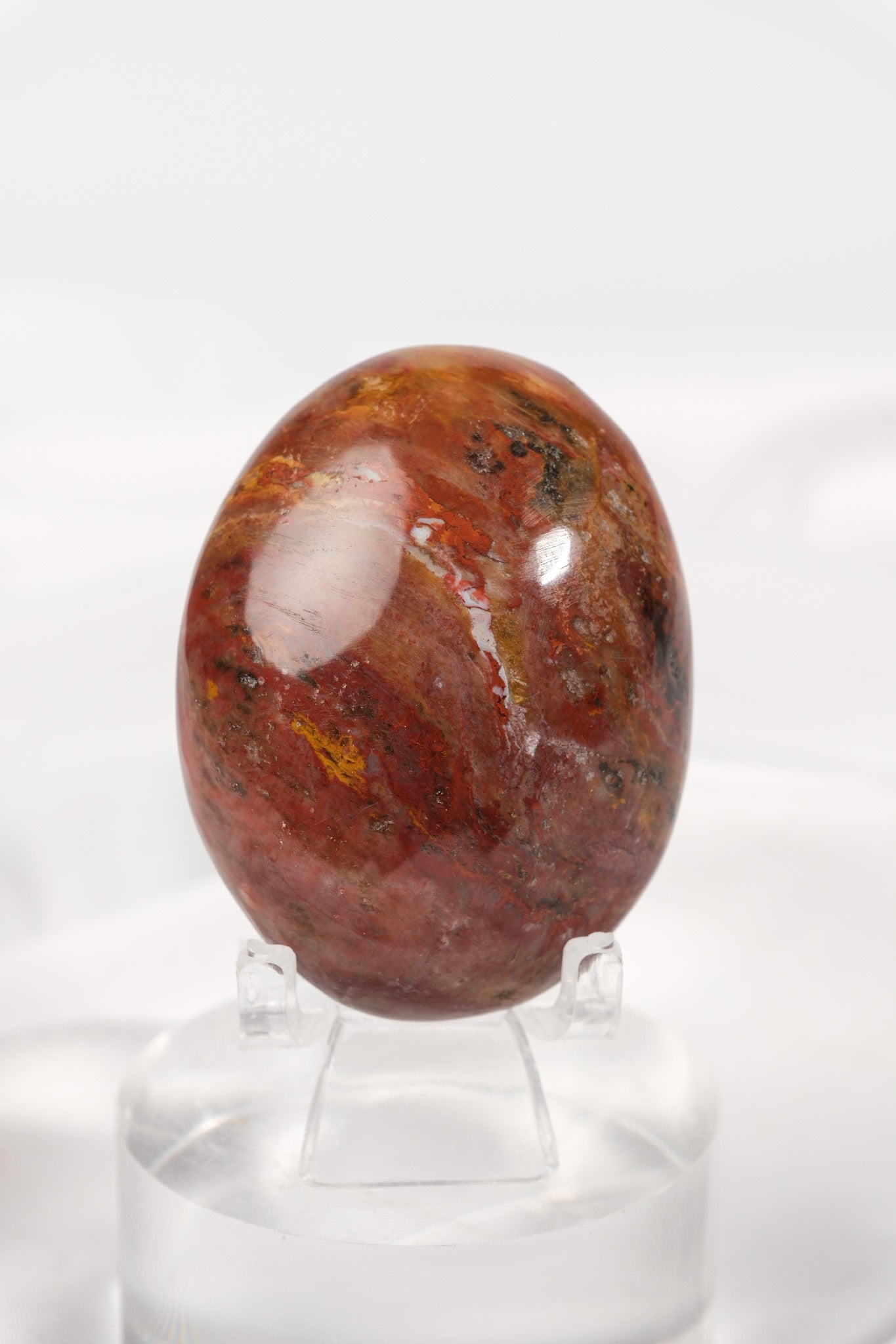 Petrified Wood Palmstone