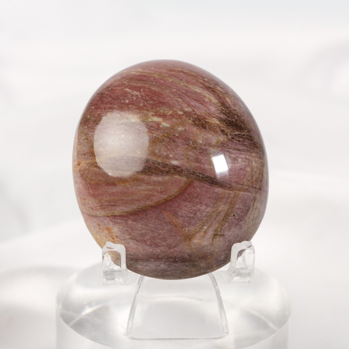 Petrified Wood Palmstone