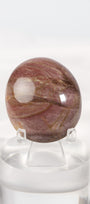 Petrified Wood Palmstone
