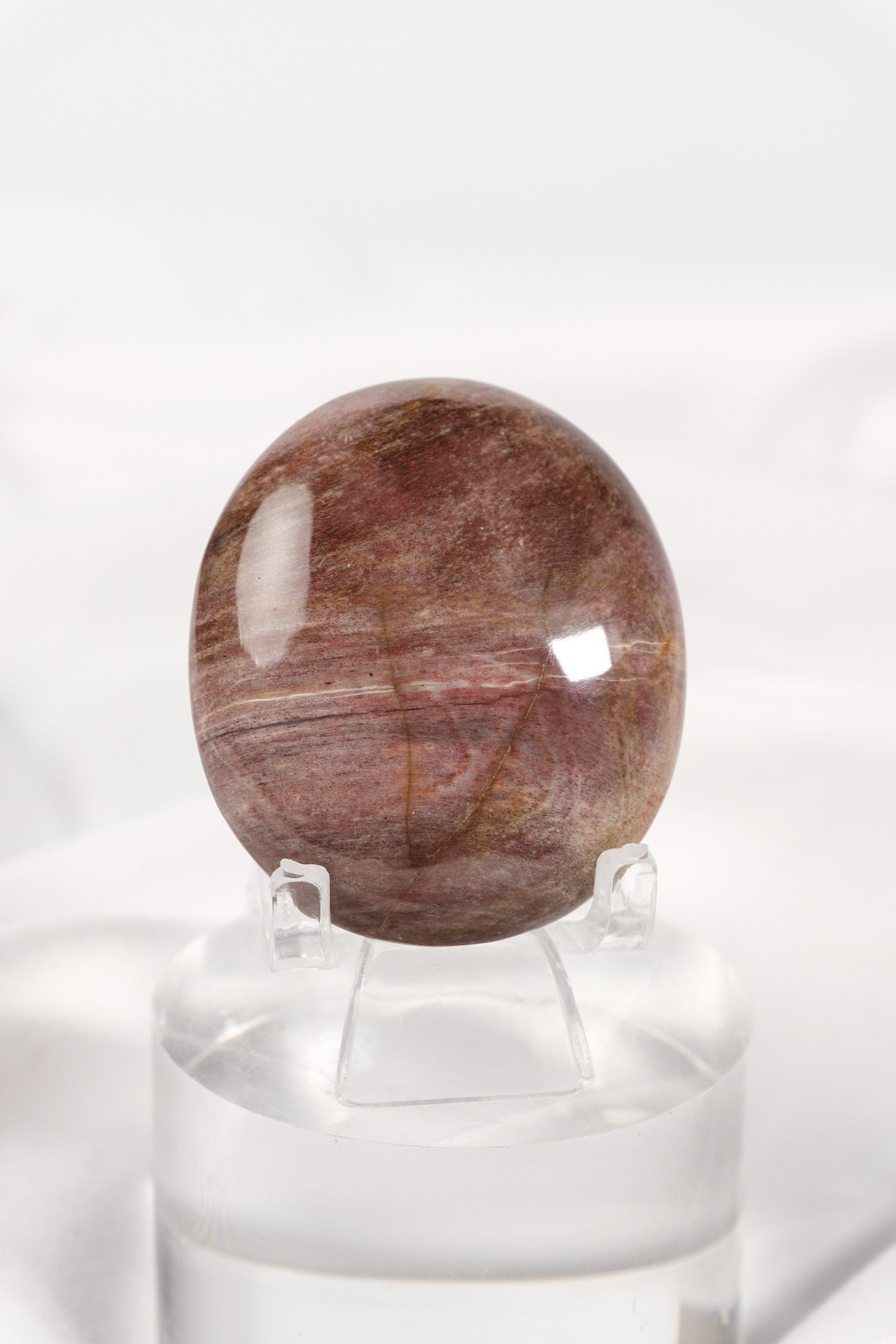 Petrified Wood Palmstone