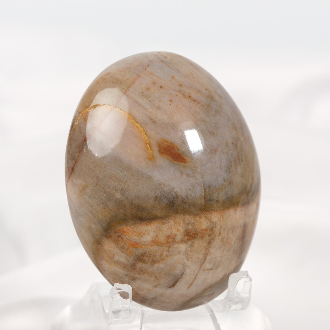 Petrified Wood Palmstone