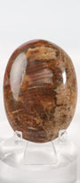 Petrified Wood Palmstone