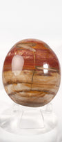 Petrified Wood Palmstone