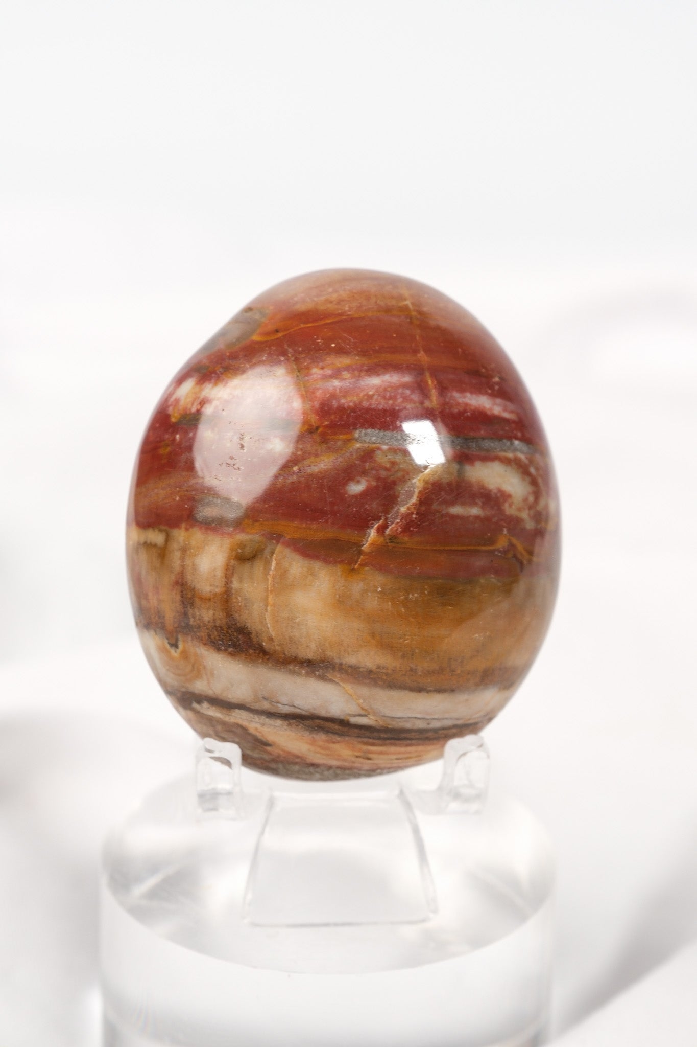 Petrified Wood Palmstone