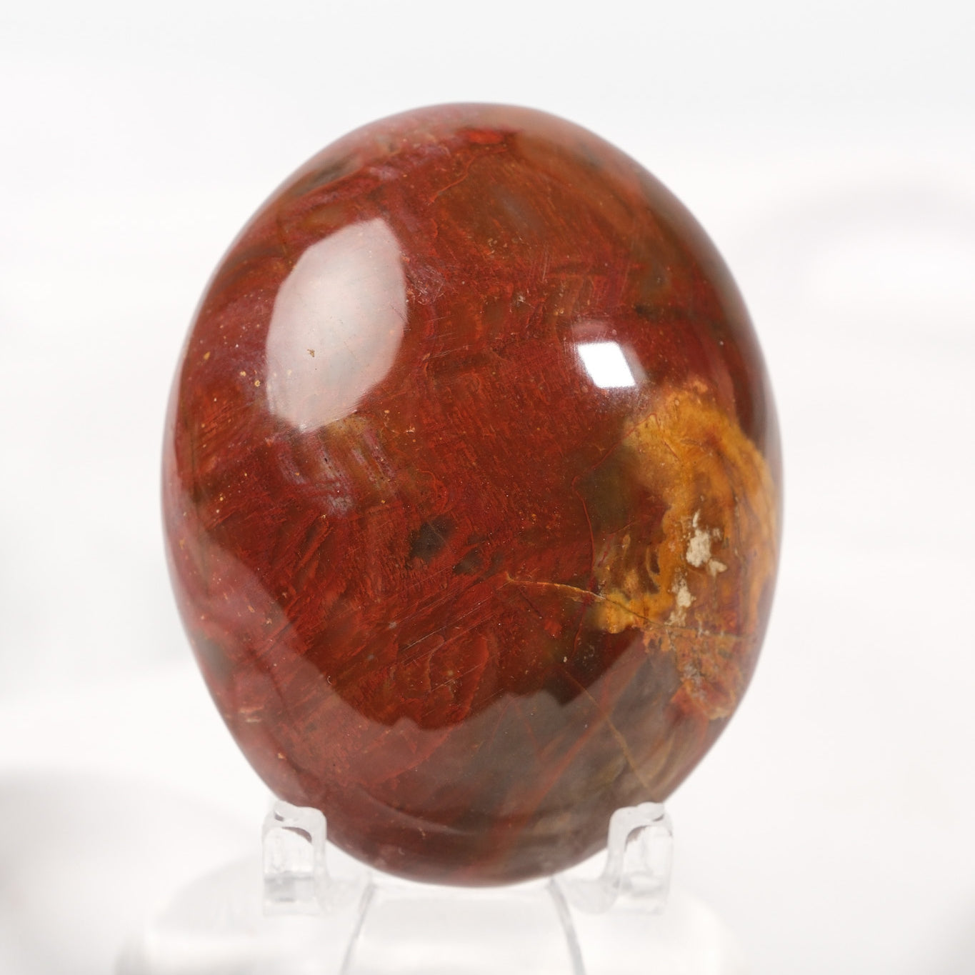 Petrified Wood Palmstone