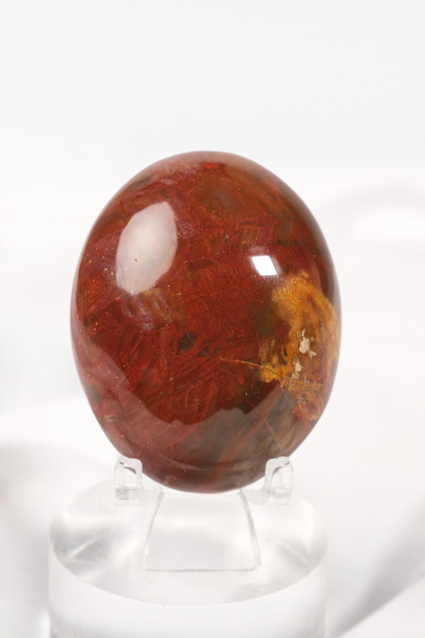 Petrified Wood Palmstone