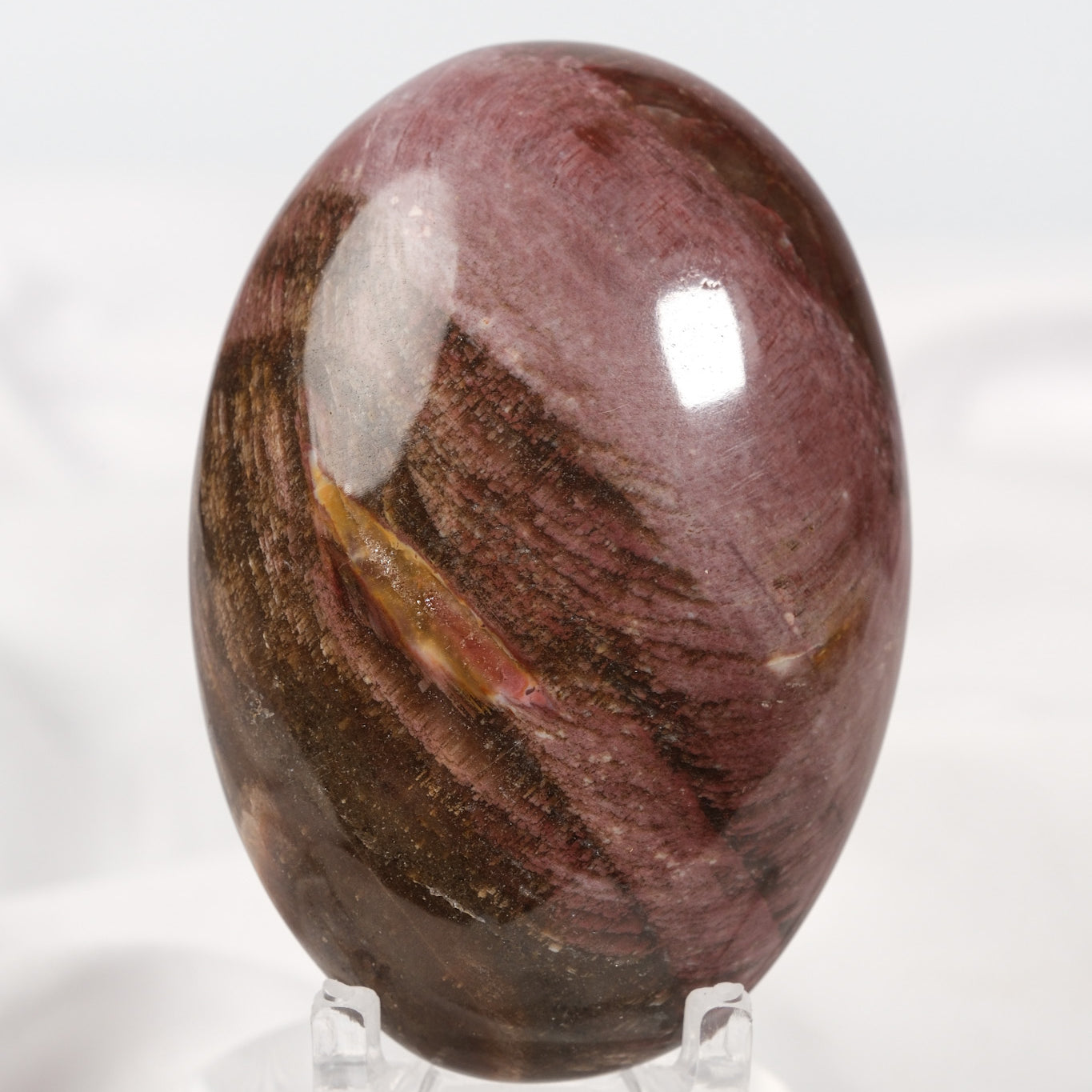 Petrified Wood Palmstone