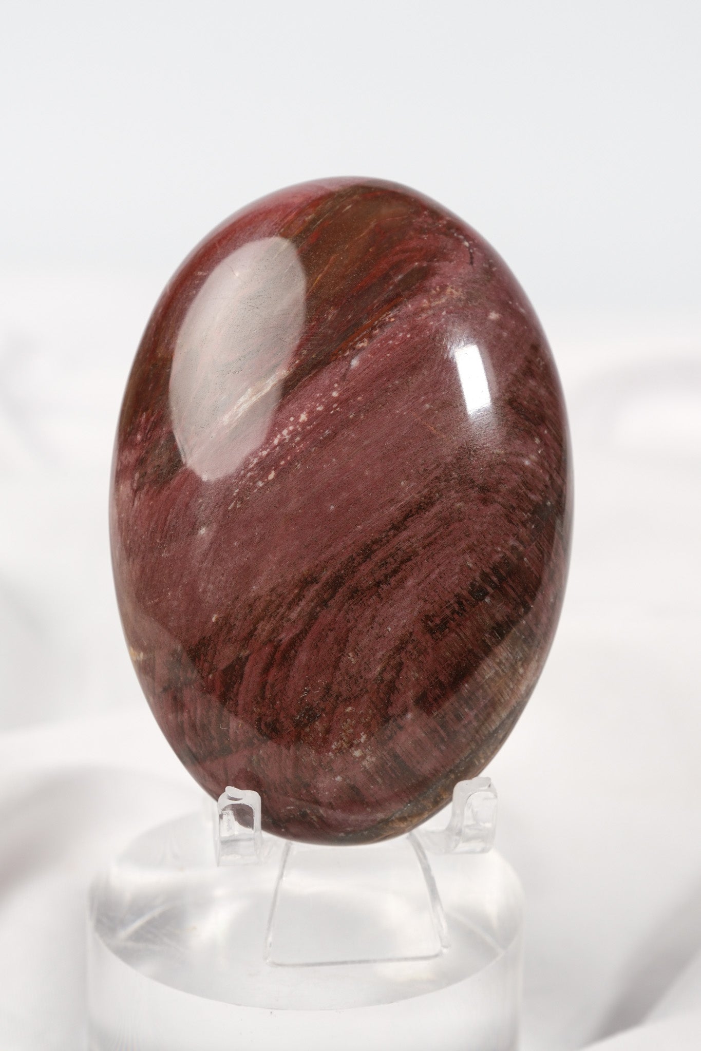 Petrified Wood Palmstone